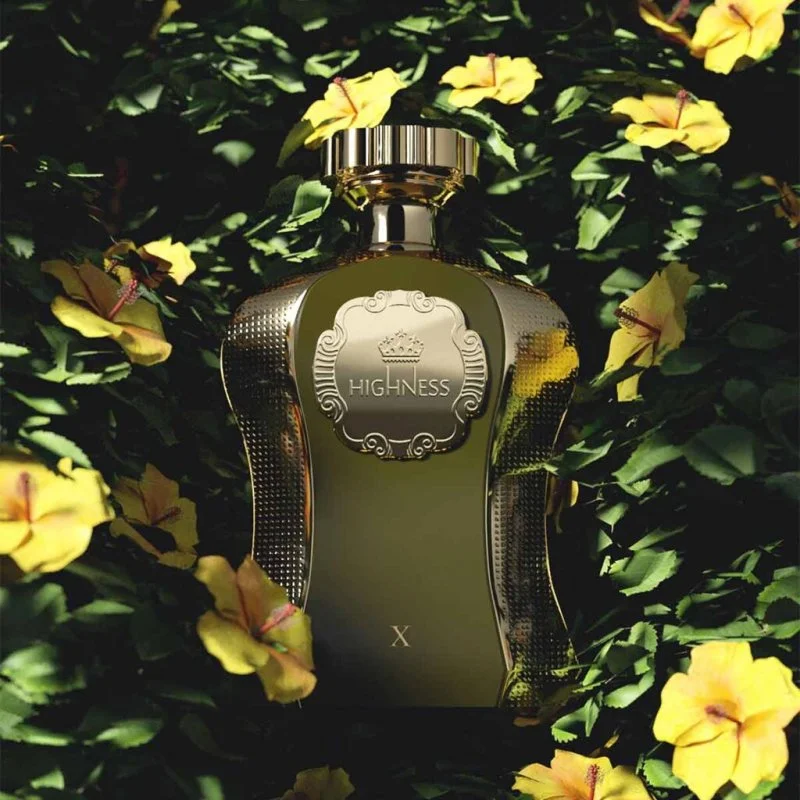 Afnan Highness X eau de parfum férfiaknak