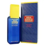 Agua Quorum eau de toilette férfiaknak 100 ml