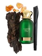 Ignite Oud U parfüm 60 ml