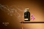 Ignite Oud U parfüm 60 ml