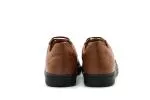 Midori Aloe Brown