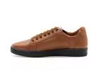 Midori Aloe Brown