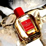 Ambassadora For Women eau de parfum nőknek 100 ml