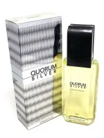 Quorum Silver eau de toilette 100 ml férfiaknak