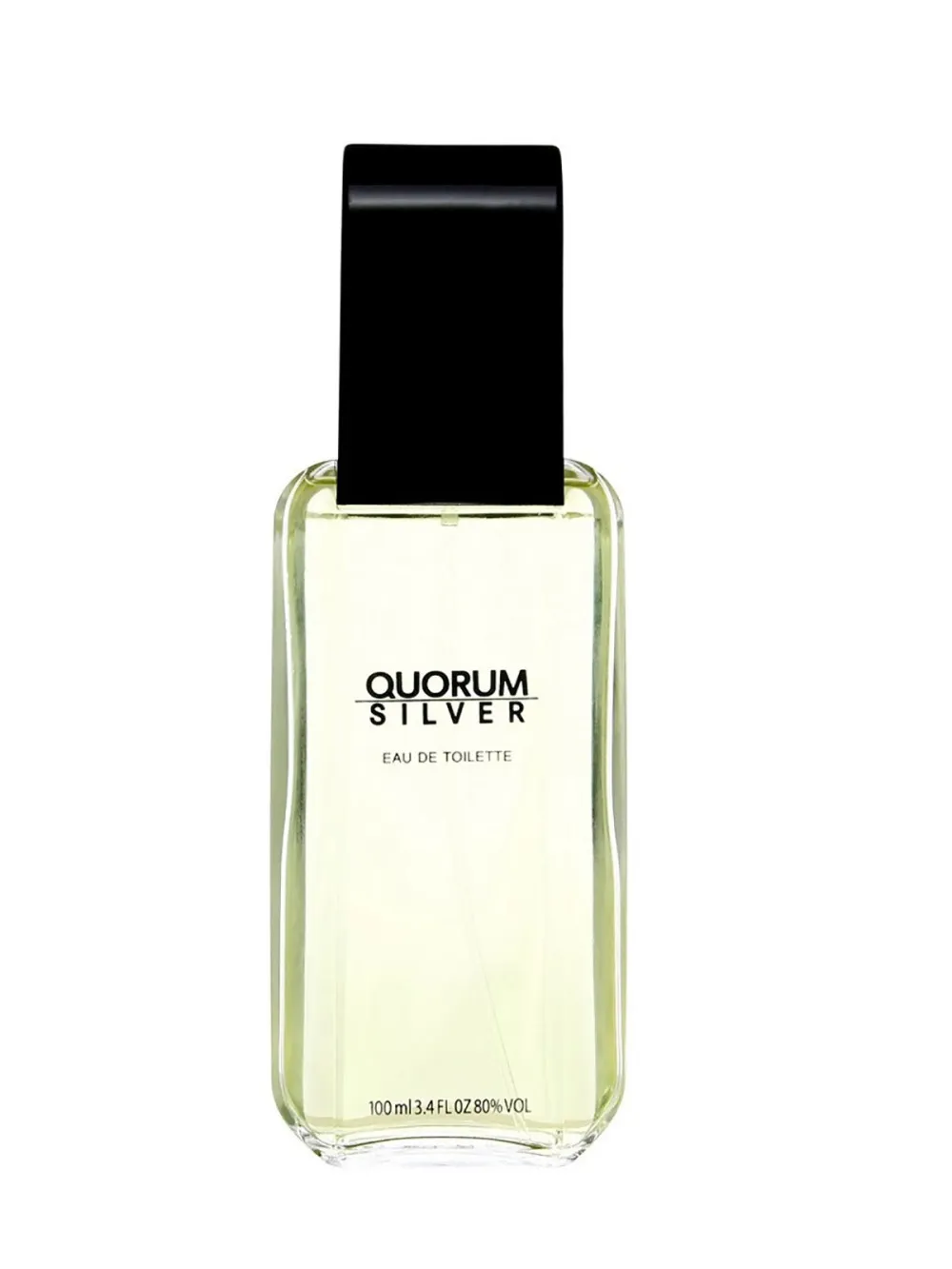 Quorum Silver eau de toilette 100 ml férfiaknak