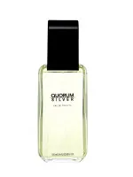 Quorum Silver eau de toilette 100 ml férfiaknak