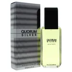 Quorum Silver eau de toilette 100 ml férfiaknak