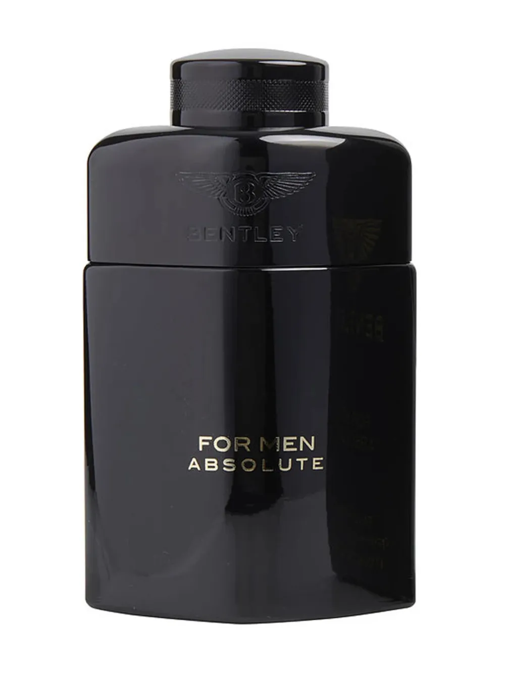 For Men Absolute parfémovaná voda pro muže 100 ml