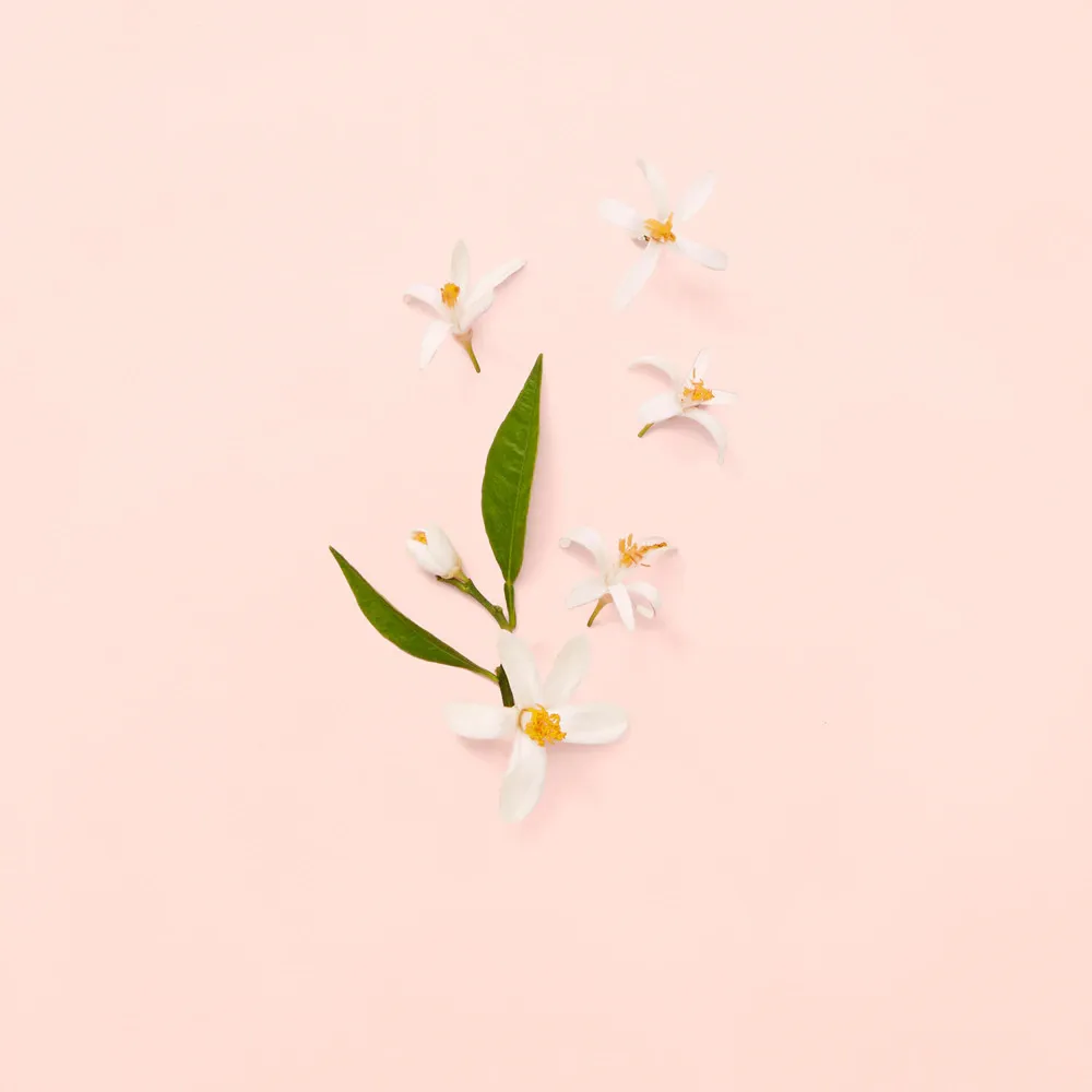 Bloom toaletvíz nőknek 100 ml