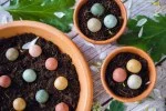 Blossombs Magbombák - kisebb ajándékcsomag - Boldog új otthon (7 db) - eredeti és praktikus ajándék egyben
