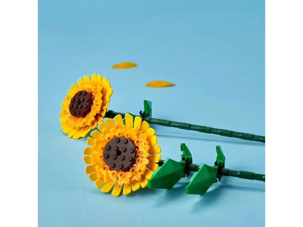 Botanicals 40524 Napraforgó