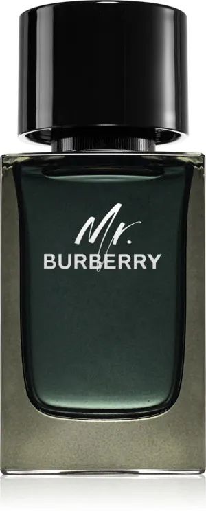 Burberry Burberry Mr. Burberry parfémovaná voda pro muže