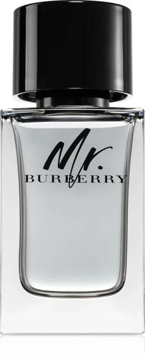 Burberry Burberry Mr. Burberry toaletní voda pro muže