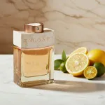Man Terrae Essence parfémovaná voda pro muže 60 ml