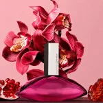 Euphoria parfémovaná voda pro ženy 50 ml