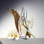 Cashmere Mist toaletvíz nőknek 100 ml