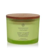 Awaken + Invigorate vonná svíčka se 3 knoty pro muže 312 g