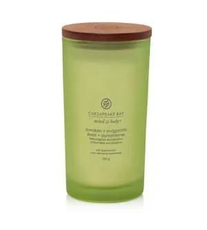 Chesapeake Bay Chesapeake Bay Awaken + Invigorate vonná svíčka pro muže