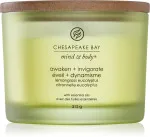 Awaken + Invigorate vonná svíčka se 3 knoty pro muže 312 g