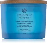 Confidence + Freedom vonná svíčka se 3 knoty pro muže 312 g