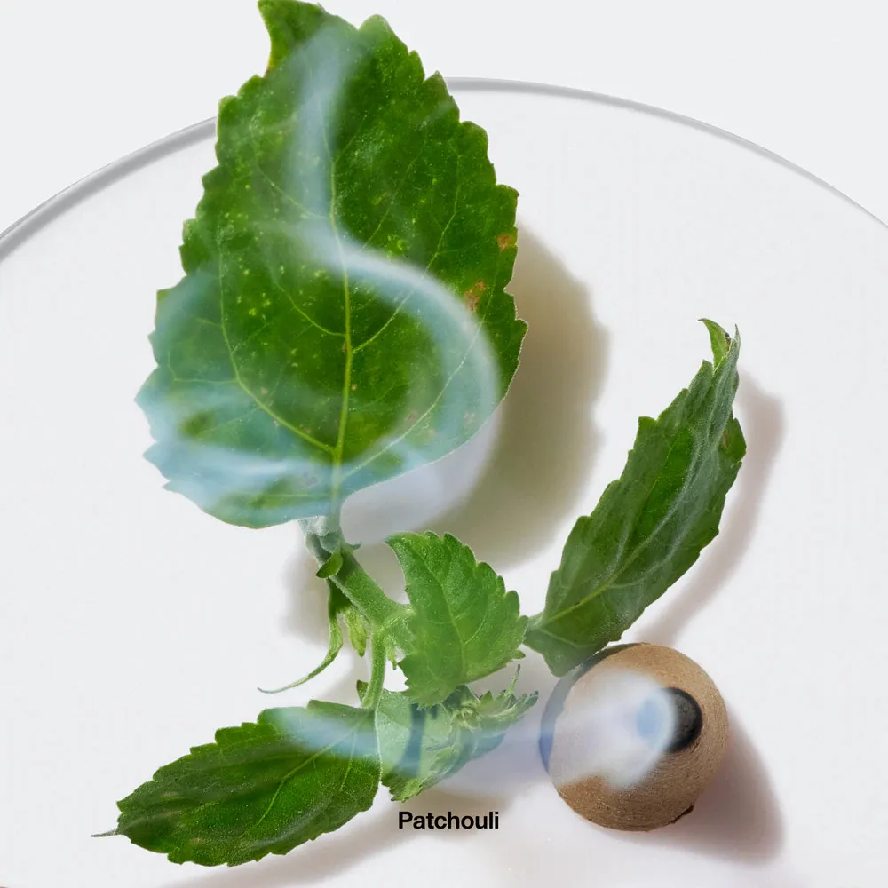 Aromatics Elixir parfémovaná voda pro ženy 100 ml