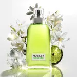 Cologne Come Together eau de toilette uniszex 100 ml