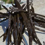 Devotion parfémovaná voda pro ženy 100 ml