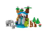 DUPLO® 10446 Vadállatcsaládok 3 az 1-ben
