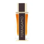 Spicy Leather eau de parfum férfiaknak 100 ml