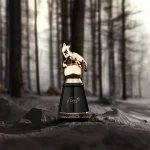 Fierte Eau de Parfum férfiaknak