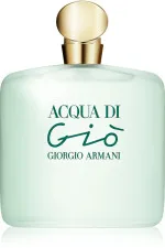 Acqua di Gio toaletní voda pro ženy 100 ml