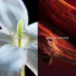 Samsara eau de parfum nőknek 75 ml