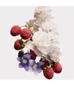 Her Eau de Parfum nőknek 30 ml