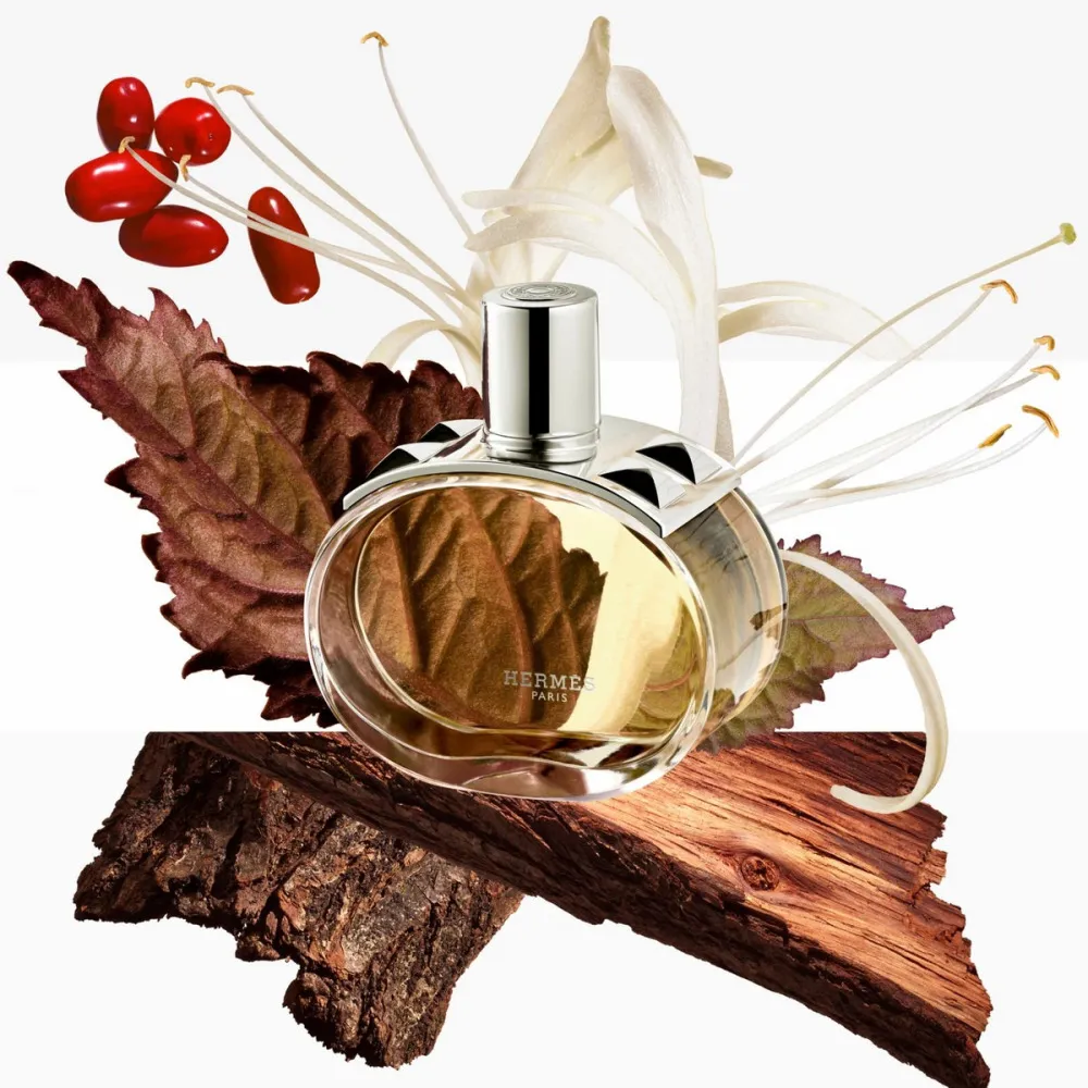 Barénia parfémovaná voda pro ženy 100 ml