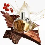 Barénia parfémovaná voda pro ženy 100 ml