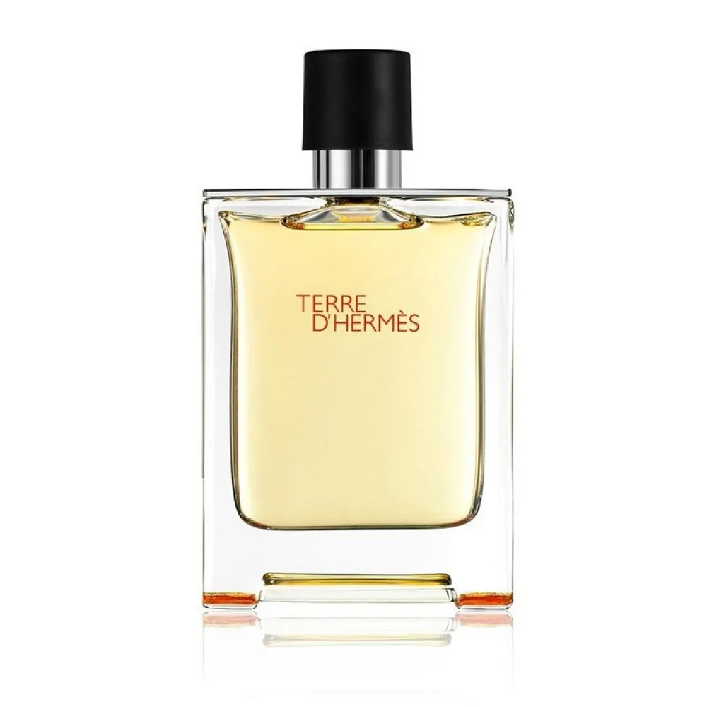 Terre d'Hermes Parfum parfém pro muže 75 ml