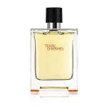 Terre d'Hermes Parfum parfém pro muže 75 ml
