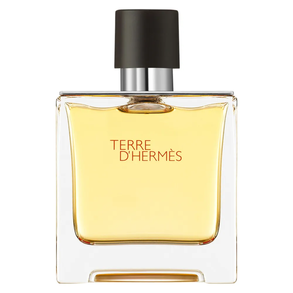 Terre d'Hermes Parfum parfém pro muže 75 ml
