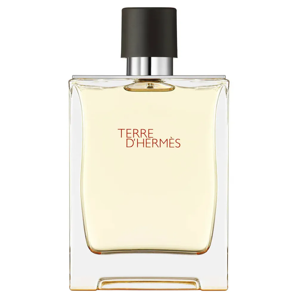 Terre d'Hermes toaletní voda pro muže 200 ml