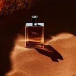 Terre d'Hermes toaletní voda pro muže 50 ml