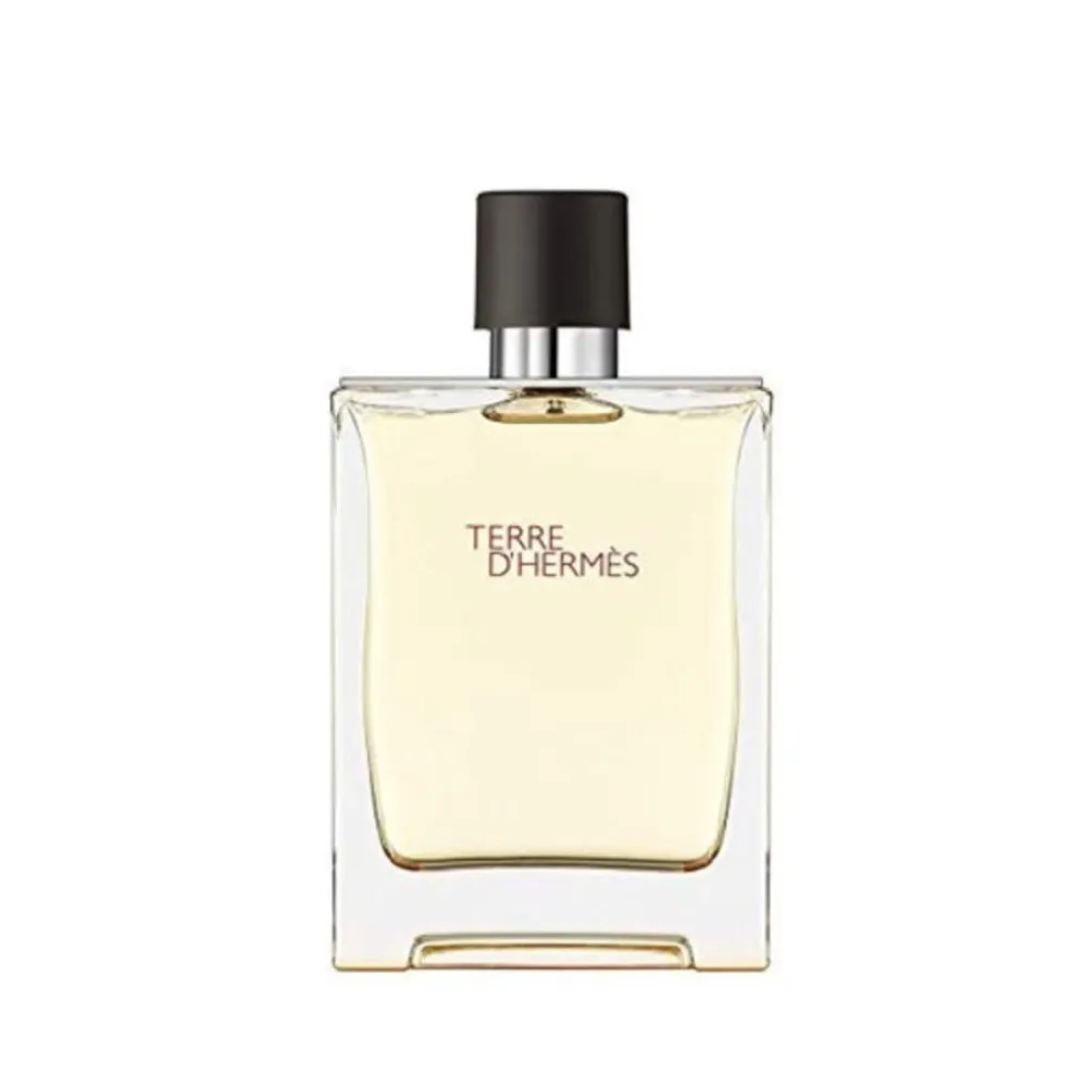 Terre d'Hermes toaletní voda pro muže 50 ml