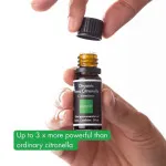 Incognito Citronella illóolaj BIO (10 ml) - nem büdös a nehéz rovarok számára.