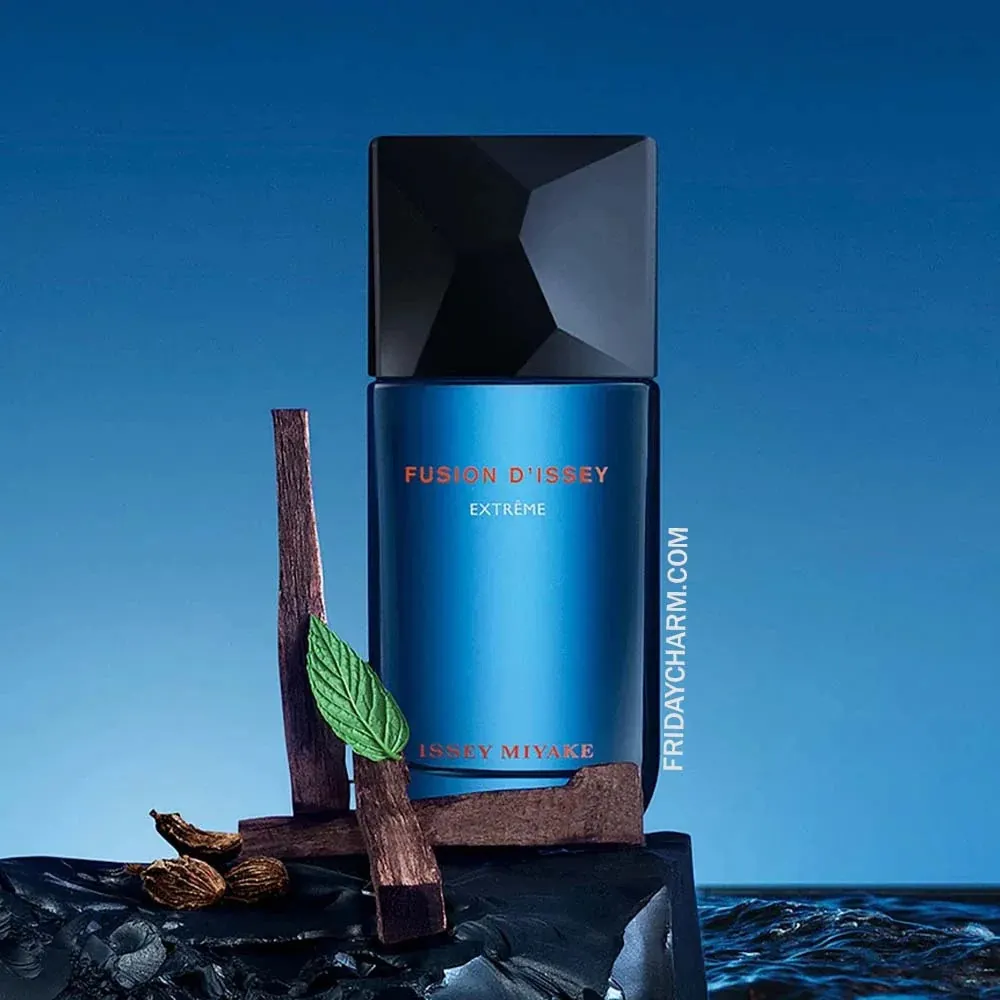 Fusion D'Issey toaletní voda pro muže 100 ml