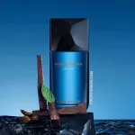 Fusion D'Issey toaletní voda pro muže 100 ml