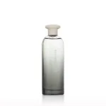 Power eau de toilette férfiaknak 75 ml