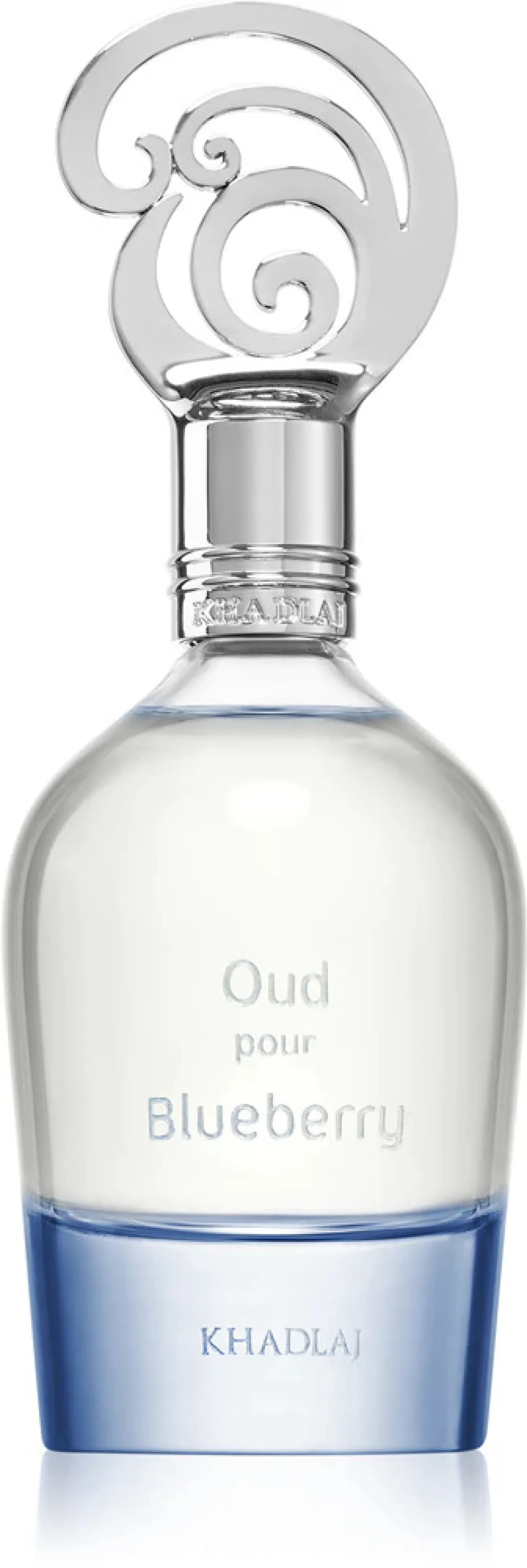 Oud Pour Blueberry parfémovaná voda unisex 100 ml