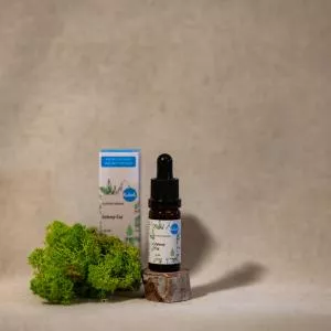 Kvitok Arcszérum - Zöld tea (10 ml) - antioxidáns és gyulladáscsökkentő hatású