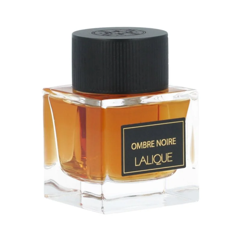 Ombre Noire Eau de Parfum férfiaknak 100 ml