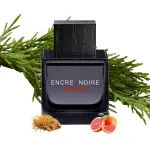 Encre Noire Sport toaletní voda pro muže 100 ml