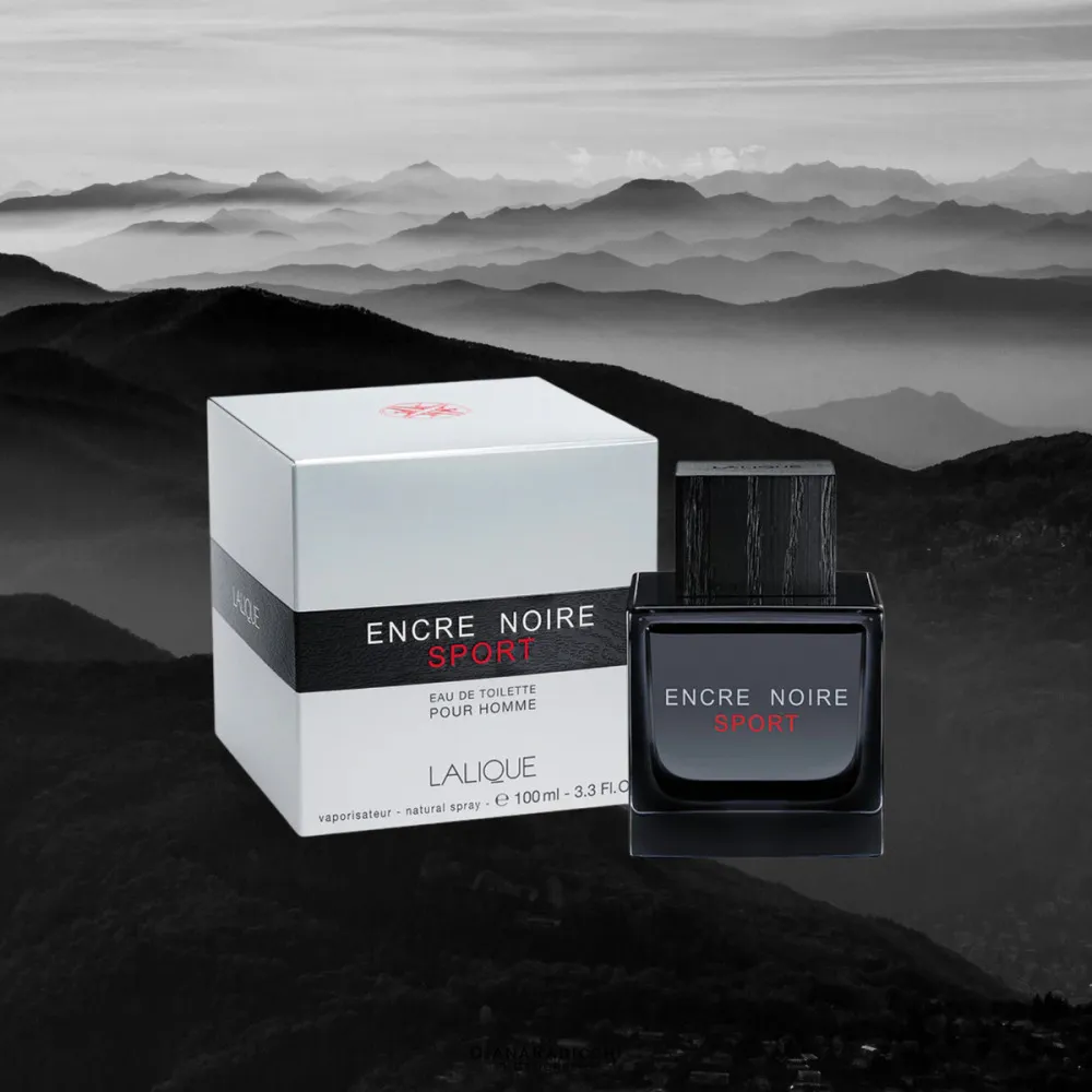 Encre Noire Sport toaletní voda pro muže 100 ml